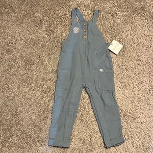 Carter’s Little Planet Baby Organic Cotton Gauze Overalls, Size 24m